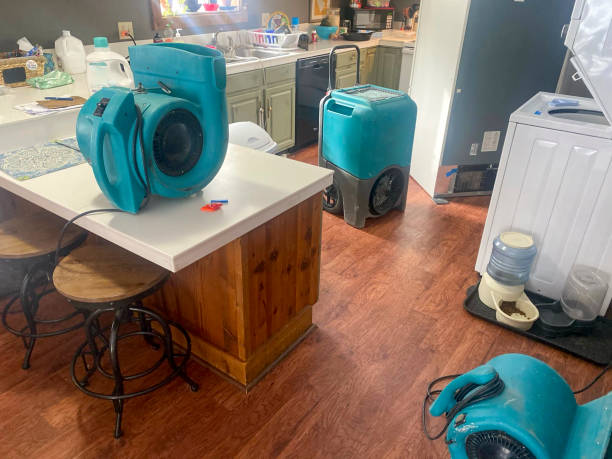 Best Water damage restoration specialists  in Charlotte, TX