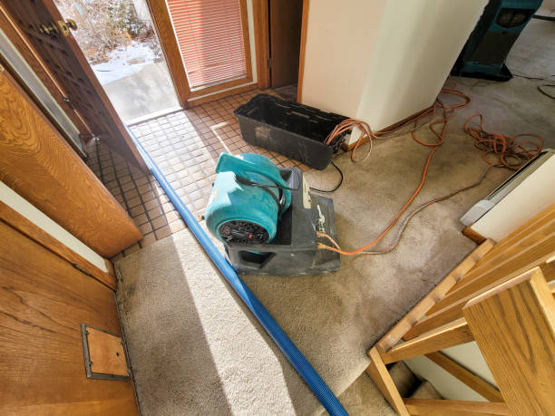 Best Fire Damage Restoration  in Charlotte, TX