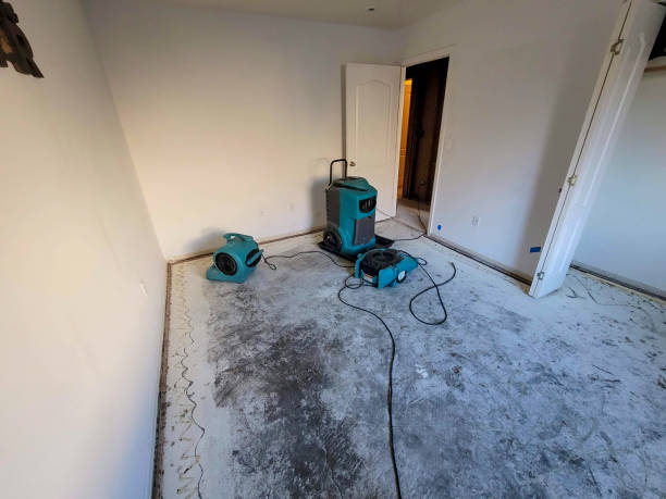 Best Mold removal after water damage  in Charlotte, TX