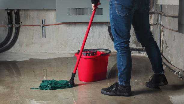 Best Water damage cleanup near me  in Charlotte, TX