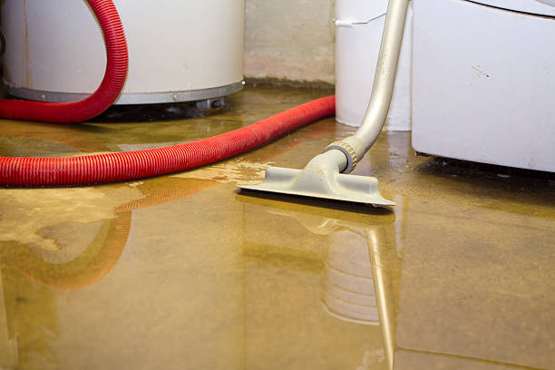 Best Water damage restoration near me  in Charlotte, TX