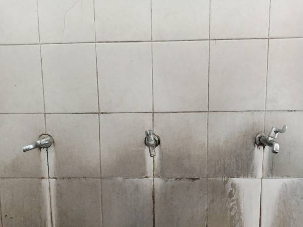 Best Carpet water damage restoration  in Charlotte, TX