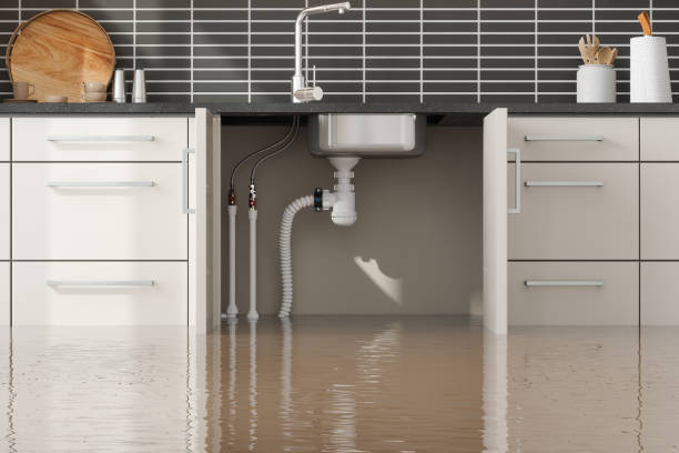 Best Water damage contractors near me  in Charlotte, TX